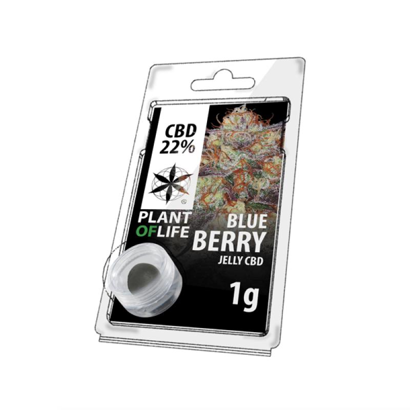 14089 - CBD Jelly 22 % Blueberry 1 g