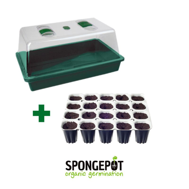 14391 - Bushdoctor Seedling-Set Spongepot