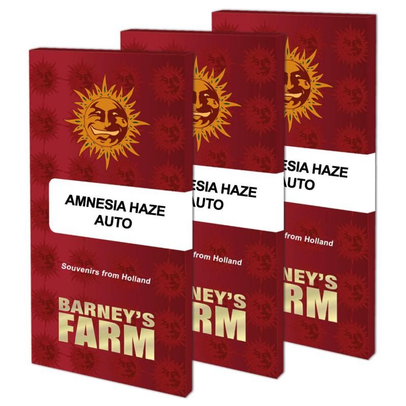 15882 - Amnesia Haze Auto feminizált 5 darab
