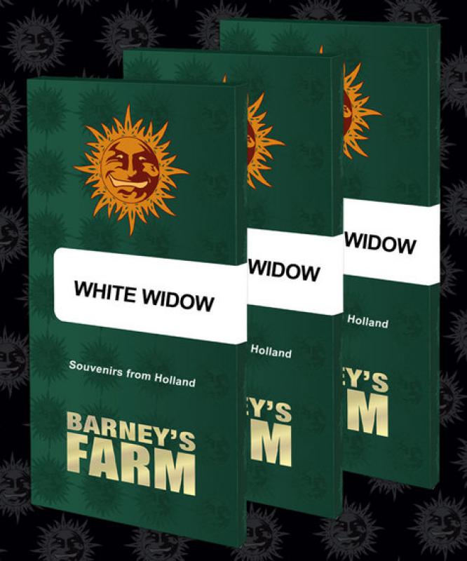 16162 - White Widow [BF] 3 darab