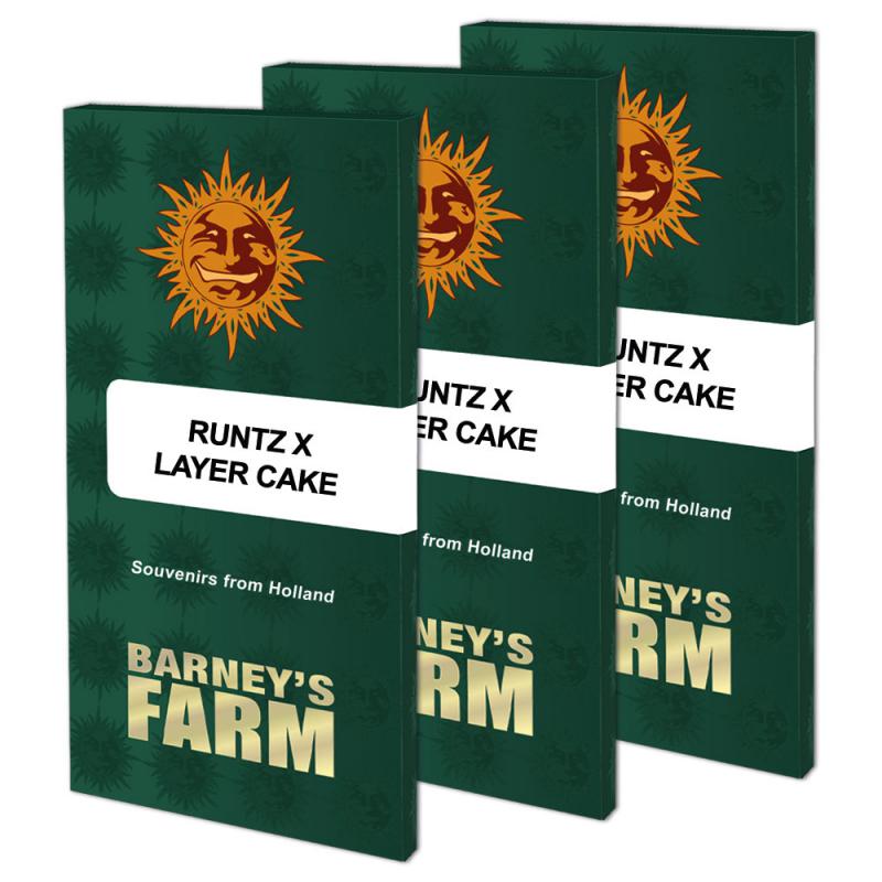 16185 - Runtz x Layer Cake 3 Stück