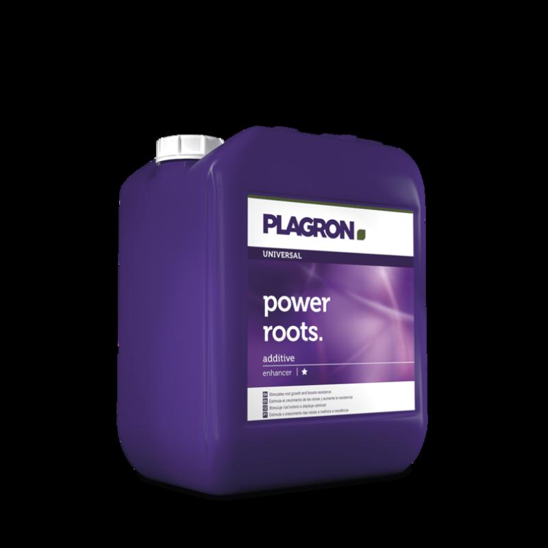 10332 - PL Power Roots  5L